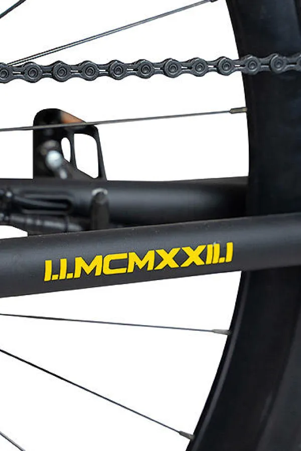 ALBERTO Gravel E-Bike - x URWAHN - Jubiläums-Design Limited Edition^ Bike